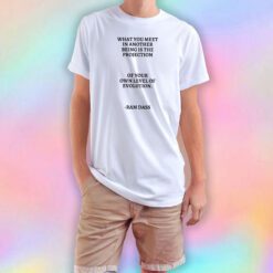 What You Meet In Another Being Is The Projection Of Your Own Level Of Evolution tee T Shirt